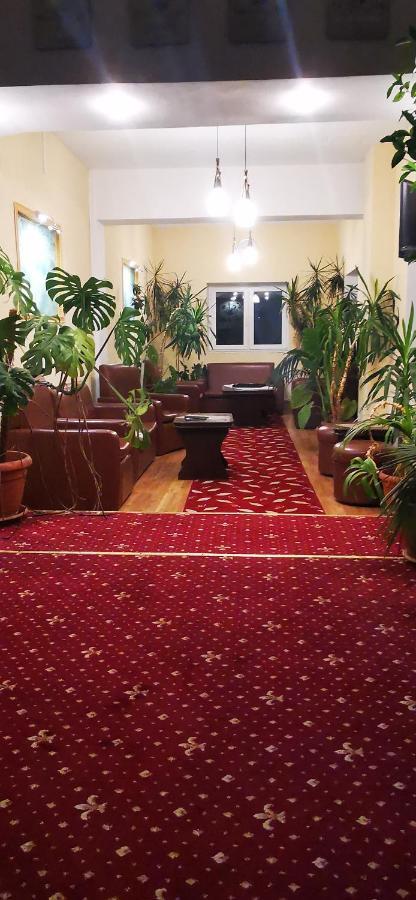 Hotel All Times Timișu de Jos Extérieur photo